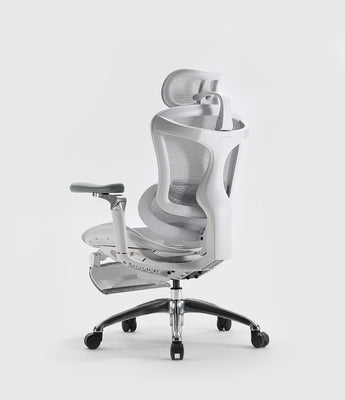 Ergonomic Chairs