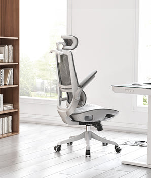 Sihoo M59AS Ergonomic Chair