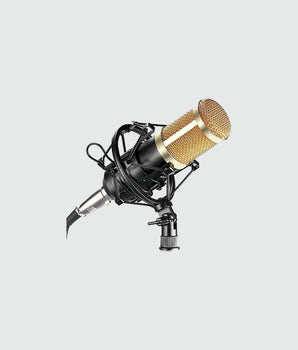 Professional Condenser Microphone