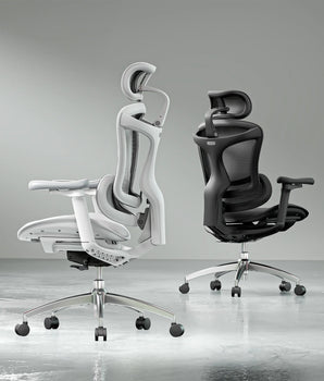 Sihoo Doro C300 Pro Ergonomic Chair
