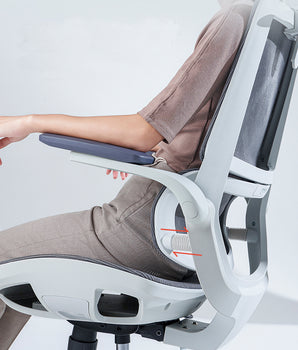 Sihoo M59AS Ergonomic Chair