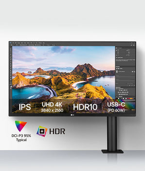 LG 31.5" 4K Ergo IPS Monitor with USB Type-C™ 32UN880K