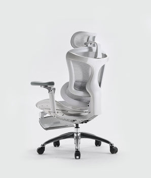 Sihoo Doro C300 Pro Ergonomic Chair